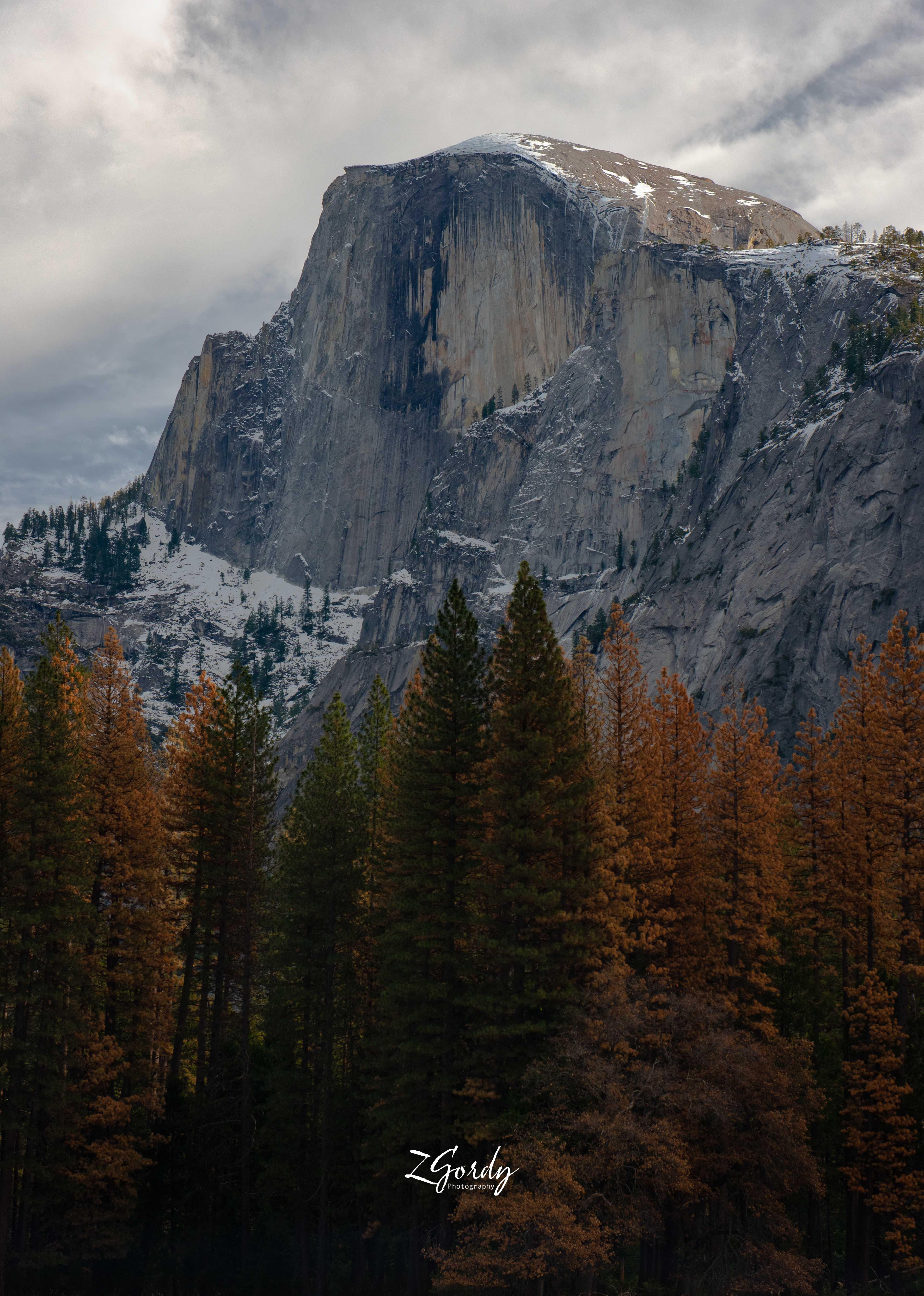 ./gallery-pictures/Winter-Cloak.jpg
